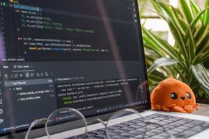 coding assistant
